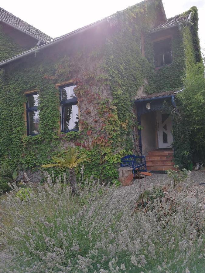 Yourhome-Pm Michendorf Esterno foto