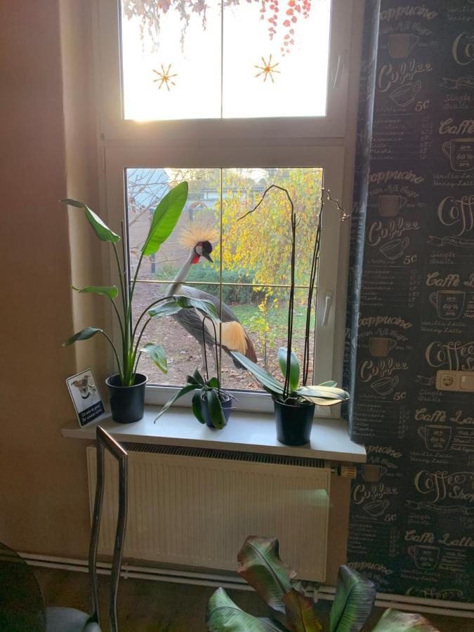 Yourhome-Pm Michendorf Esterno foto